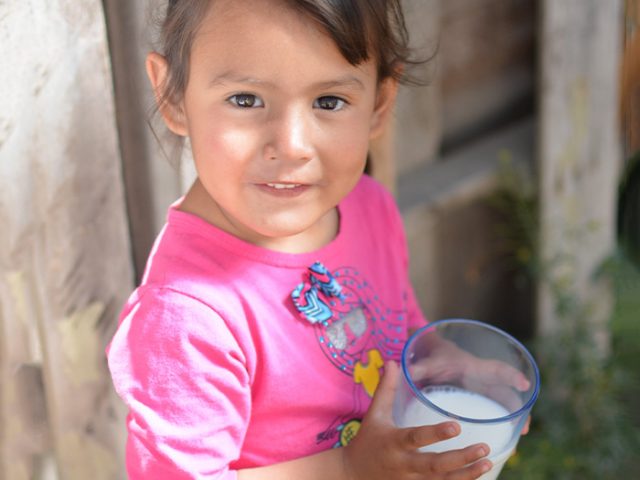 apoyo con leche en polvo o líquida