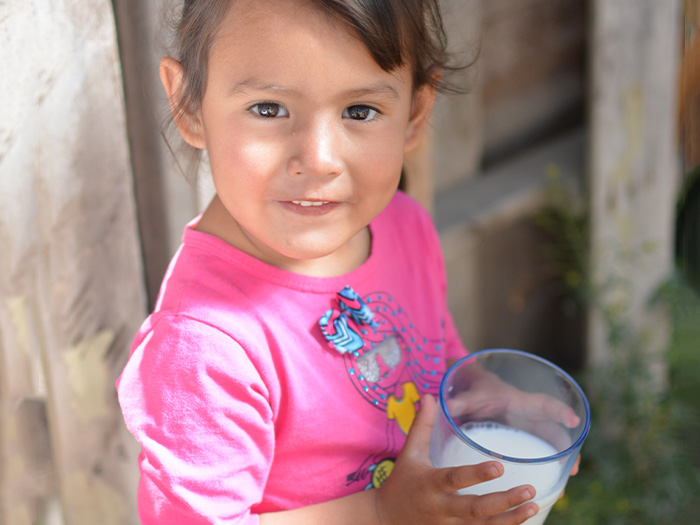 apoyo con leche en polvo o líquida