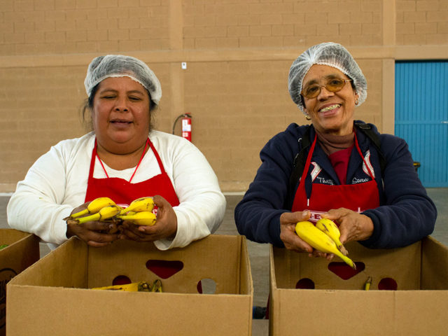 voluntariado-te-hace-feliz