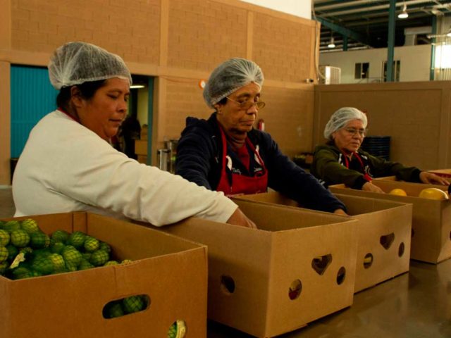 banco-de-alimentos-de-caritas