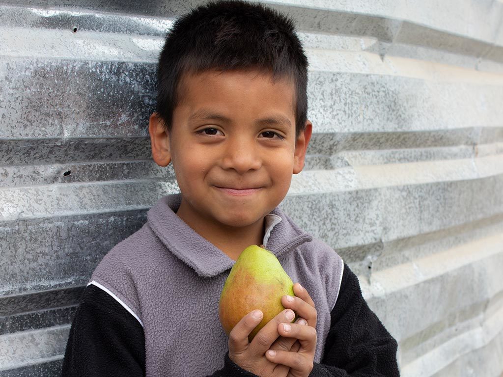 diferencia-entre-desnutricion-y-hambre