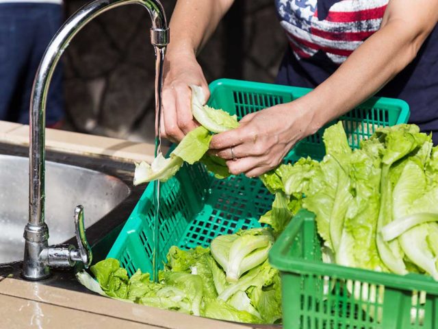 5 claves para la inocuidad de los alimentos