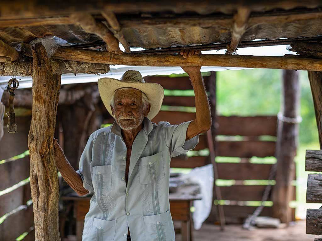 ¿Cuáles son los derechos de las personas mayores?