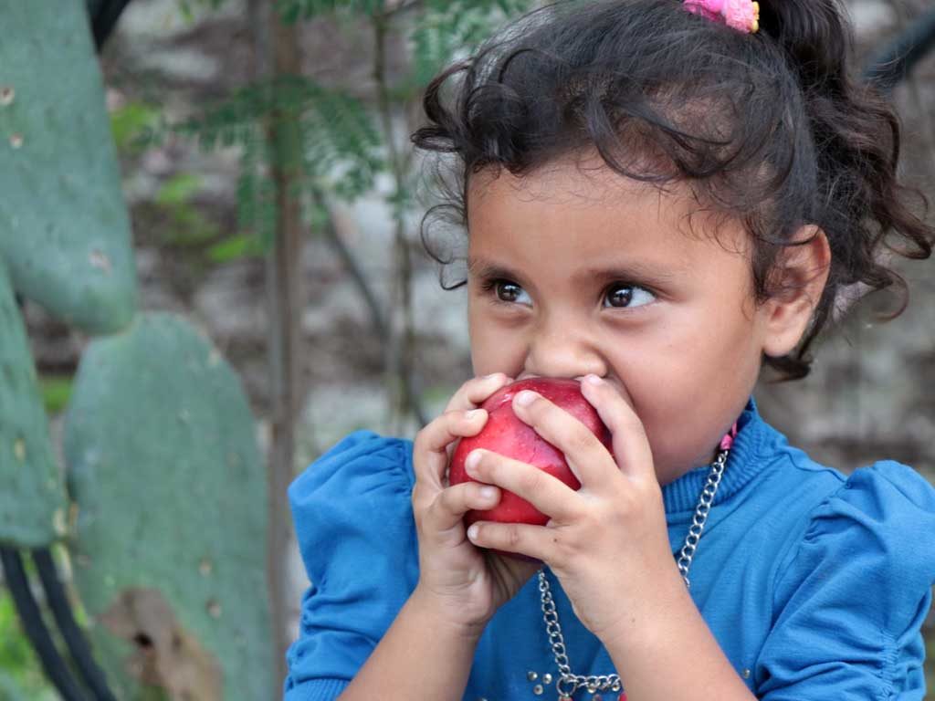 Qué es Hambre Cero: 5 pasos para poner fin al hambre en el mundo