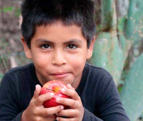 Hambre Cero en México