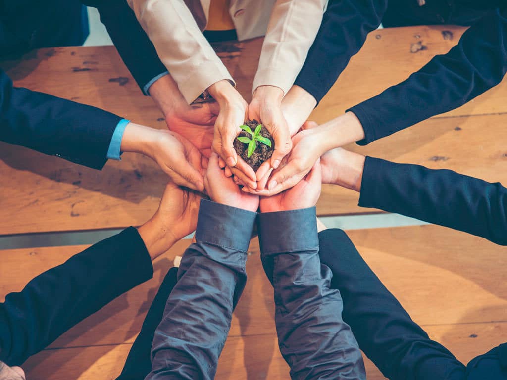 manos unidas sosteniendo una planta