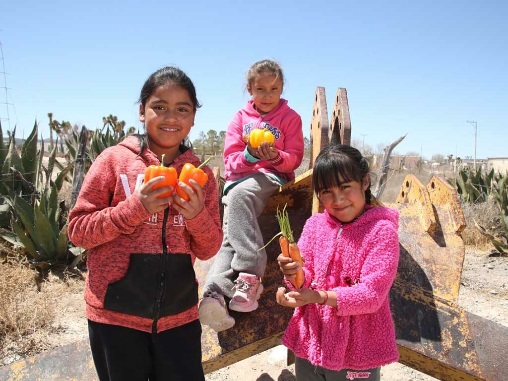 Cáritas organización beneficia miles de personas | Cáritas de Monterrey