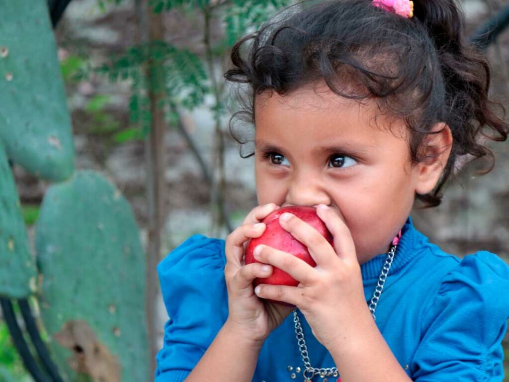 ¿Cómo prevenir la desnutrición en los niños?